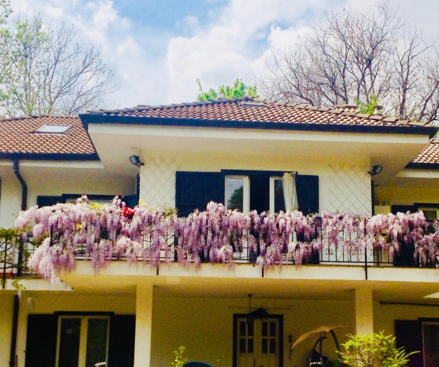 B&B La Libellula Castelnuovo Nigra Luaran gambar