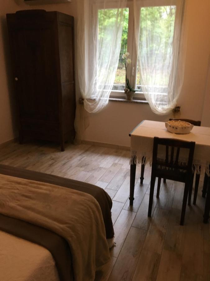 B&B La Libellula Castelnuovo Nigra Luaran gambar